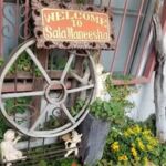 🌿サラマニーシャ🌿頑張っている貴方をサポートします✨