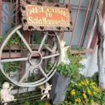 🌿サラマニーシャ🌿頑張っている貴方をサポートします✨
